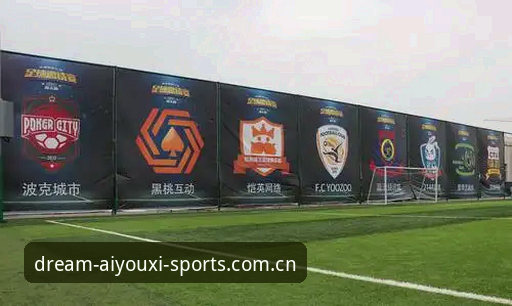 资深行业分析师亲述：爱游戏体育官方版对比中的版本差异与选型要点
